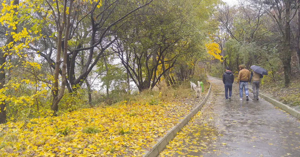 Path with yellow leaves near Turtle Lake in Tbilisi
