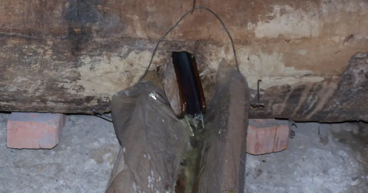 Grape juice running from the press at rtveli in Kakheti