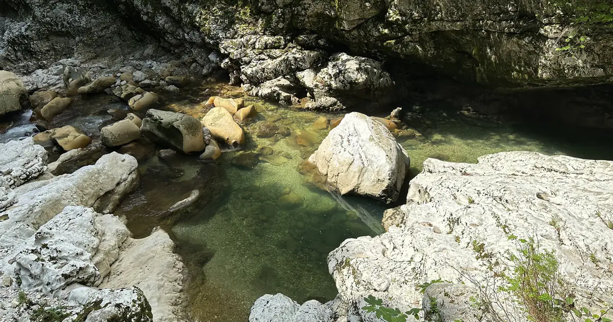 Clear water in Martvili Canyon