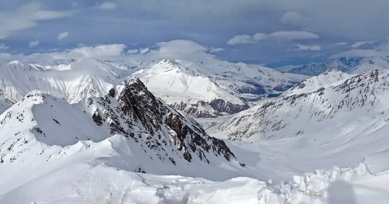 გუდაური