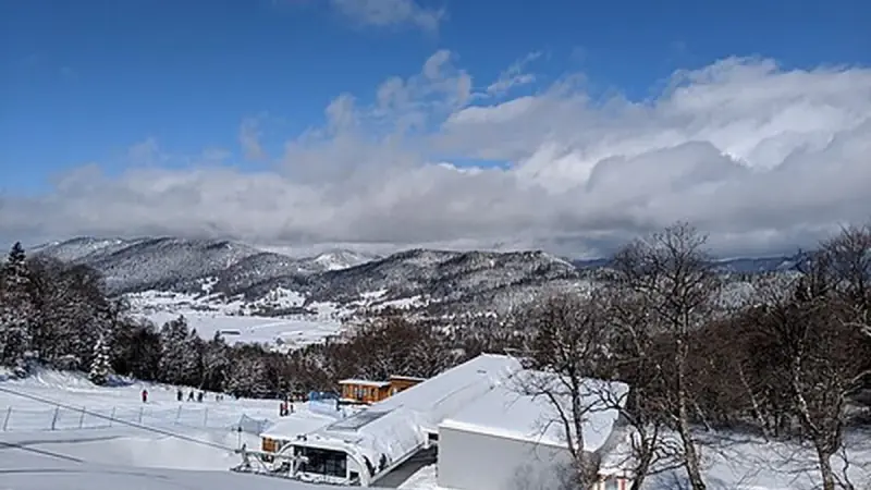 ბაკურიანი